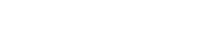 Logo Protek Sports